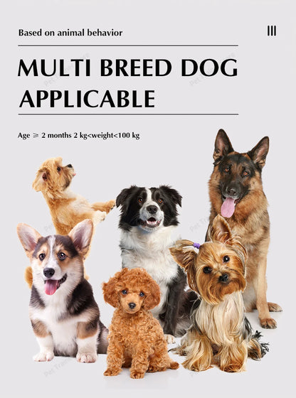 2 In 1 Electric Pet Wireless Fence Dog Training Collar Anti Runaway Up to 3 Dogs Outdoor Pet Containment Rechargeable System