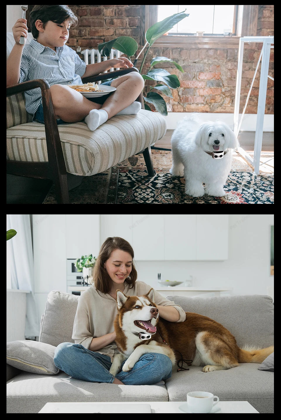 2 In 1 Electric Pet Wireless Fence Dog Training Collar Anti Runaway Up to 3 Dogs Outdoor Pet Containment Rechargeable System